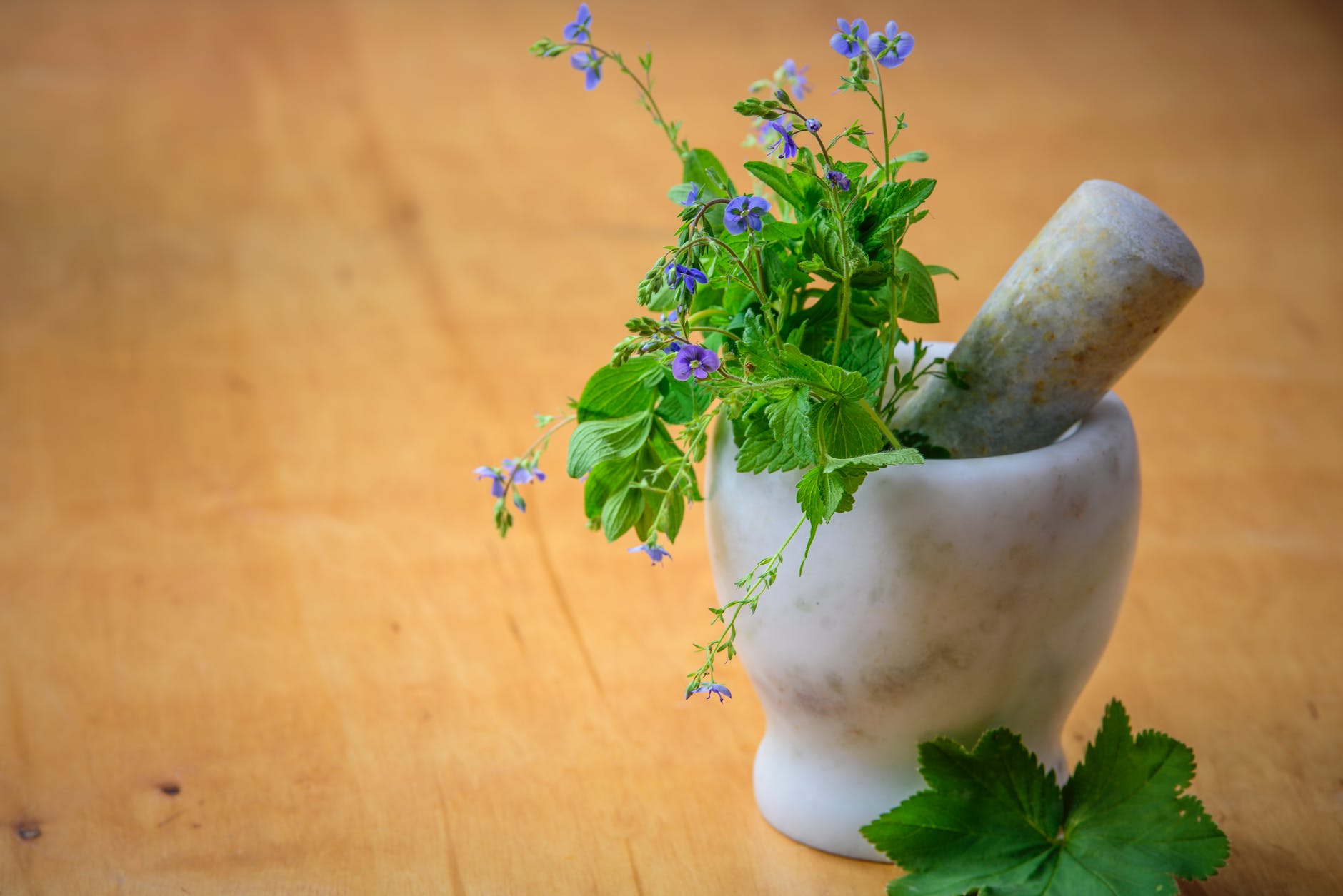 Eco Chic Products Sources